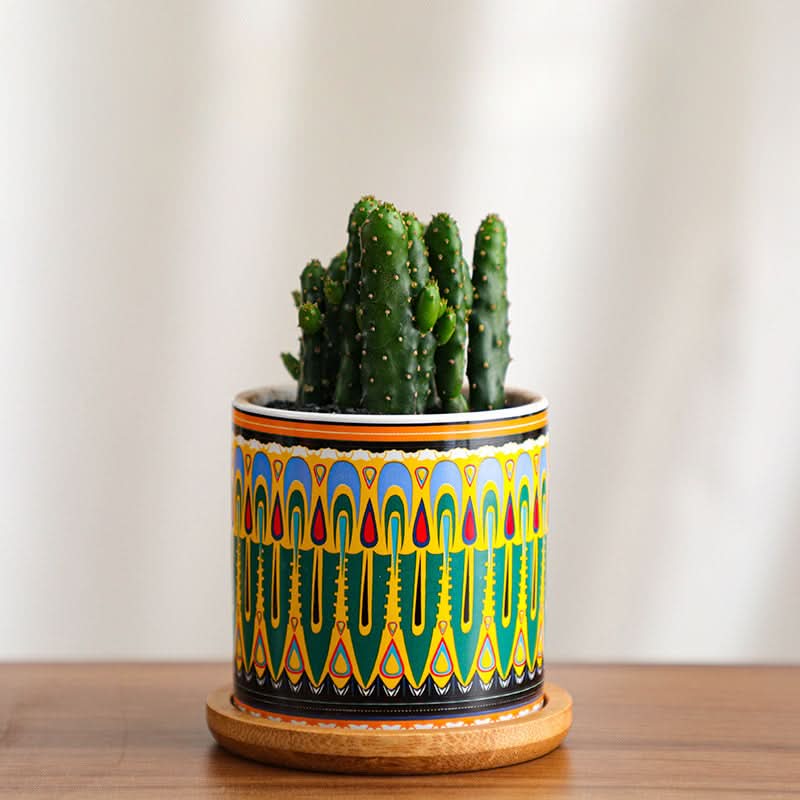 Modern Ceramic Succulent Planter for Decor