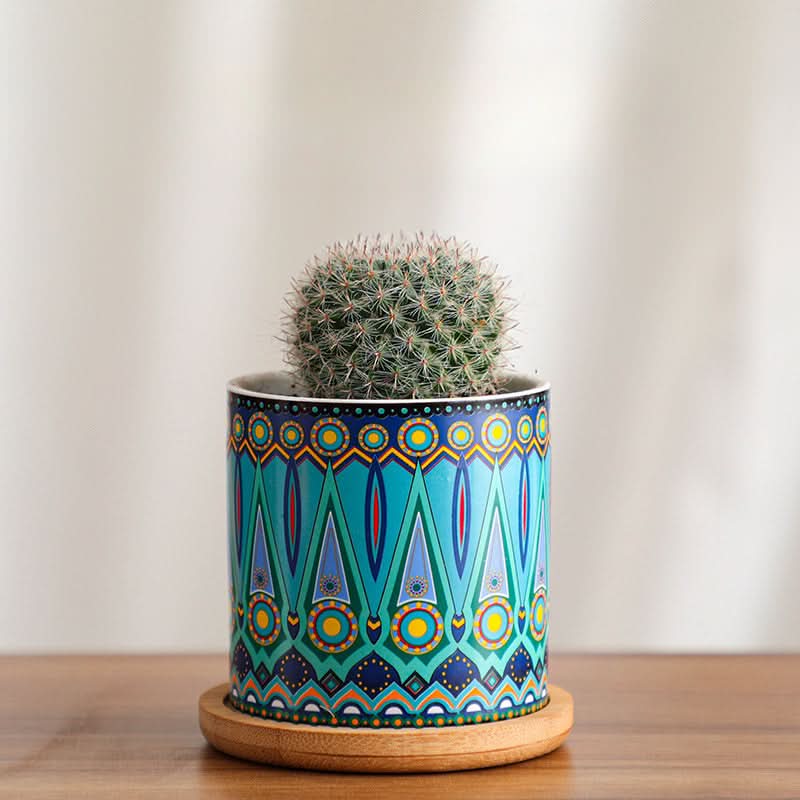 Modern Ceramic Succulent Planter for Decor