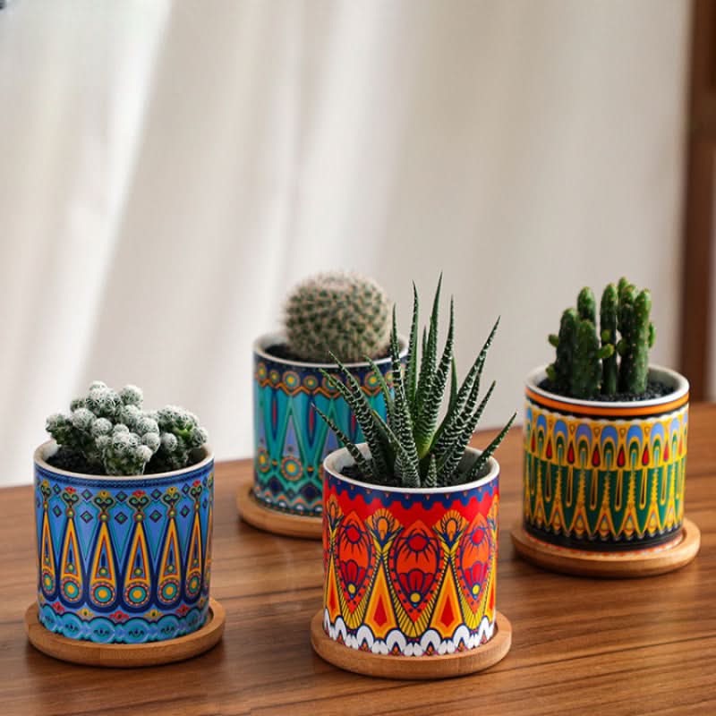 Modern Ceramic Succulent Planter for Decor