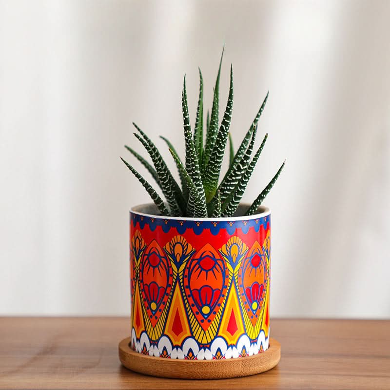Modern Ceramic Succulent Planter for Decor