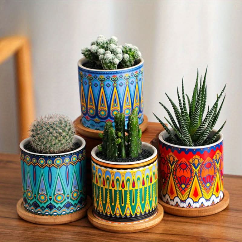 Modern Ceramic Succulent Planter for Decor