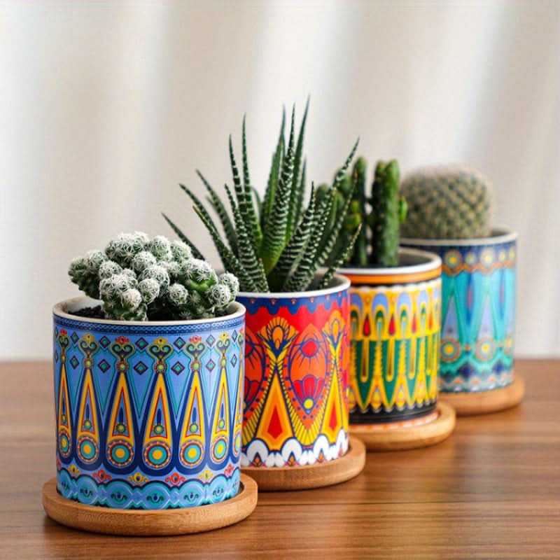 Modern Ceramic Succulent Planter for Decor