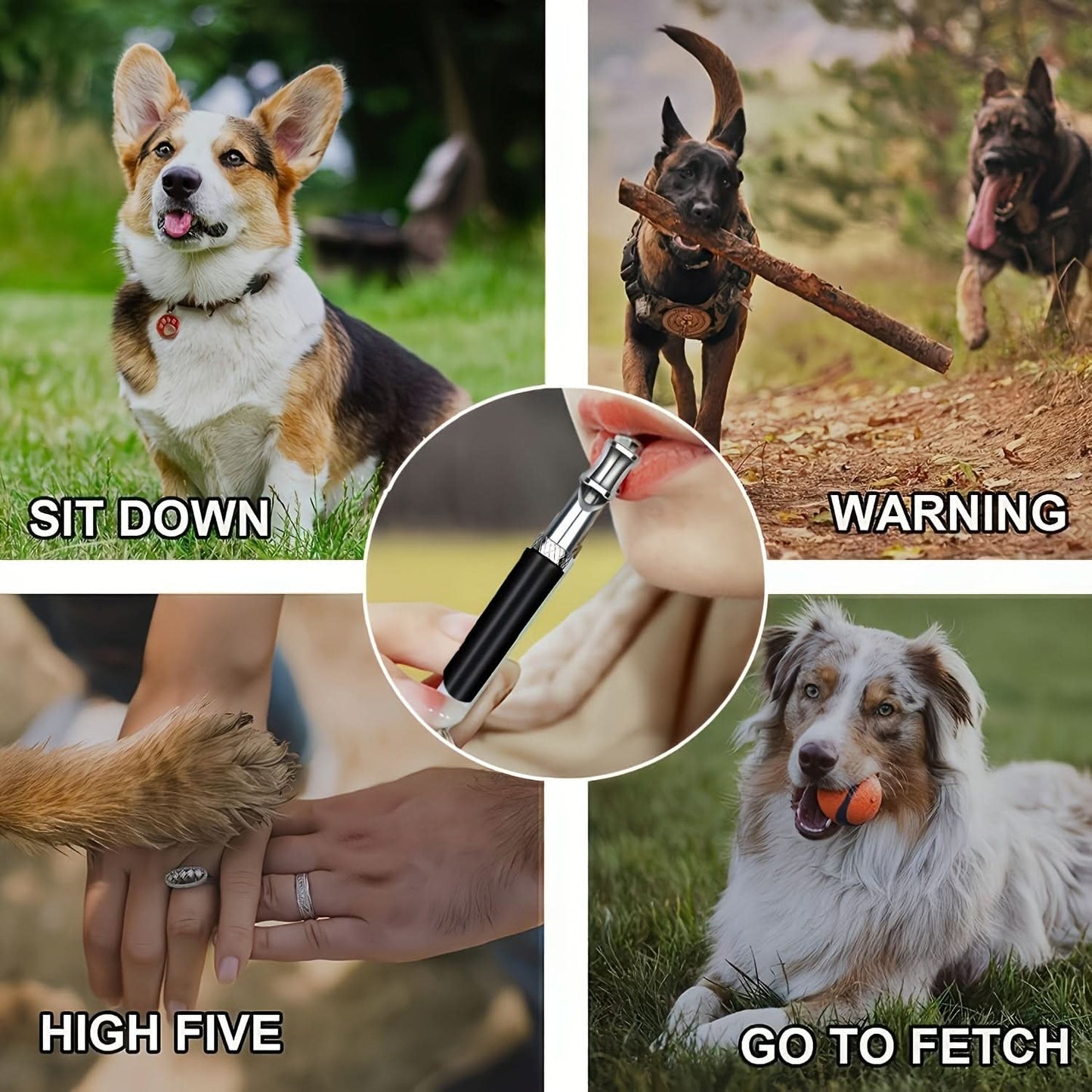 Silent Dog Training Whistle with Lanyard