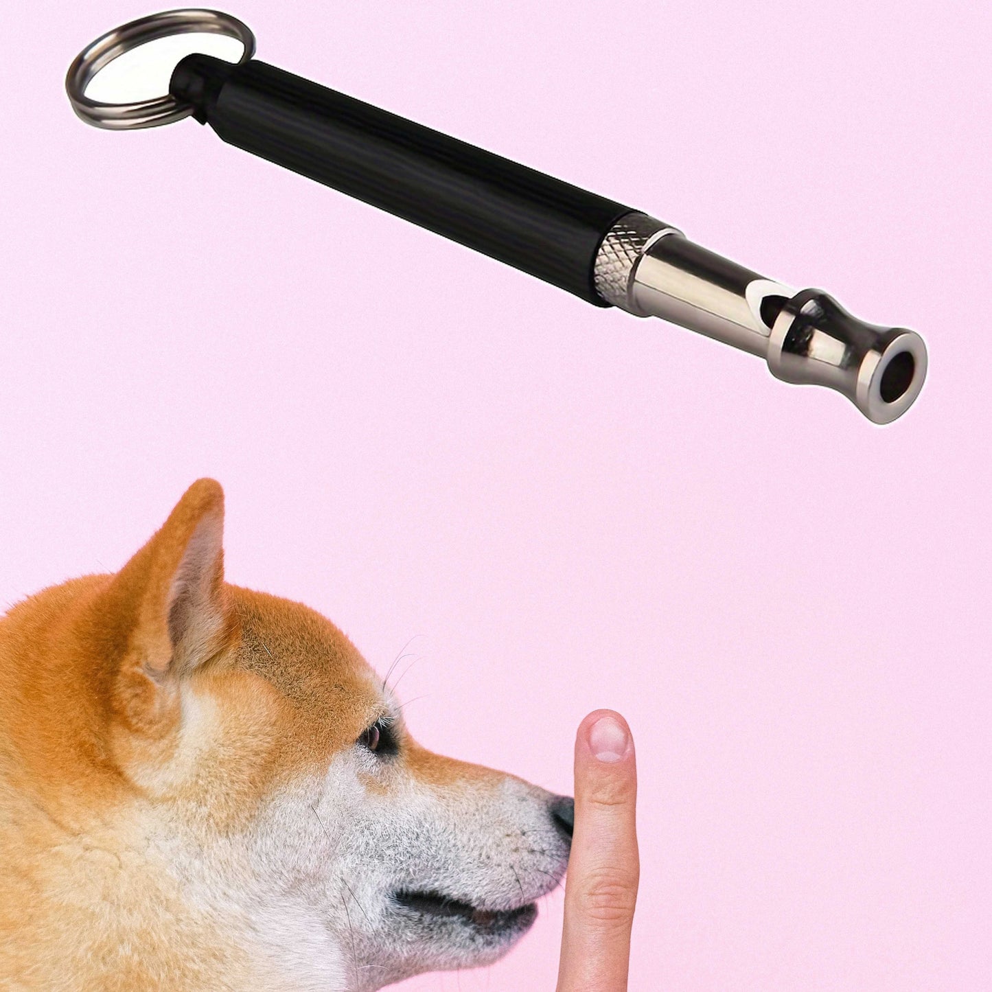 Silent Dog Training Whistle with Lanyard