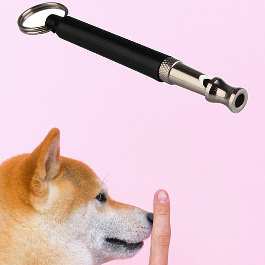 Silent Dog Training Whistle with Lanyard
