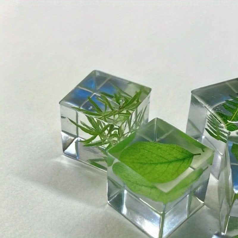 12pcs Resin Encased Dried Flower Blocks – 3D Botanical Specimens