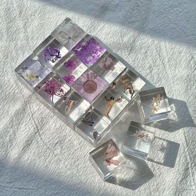 12pcs Resin Encased Dried Flower Blocks – 3D Botanical Specimens