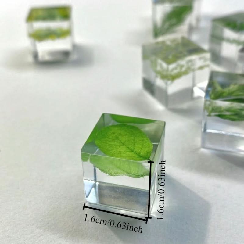 12pcs Resin Encased Dried Flower Blocks – 3D Botanical Specimens