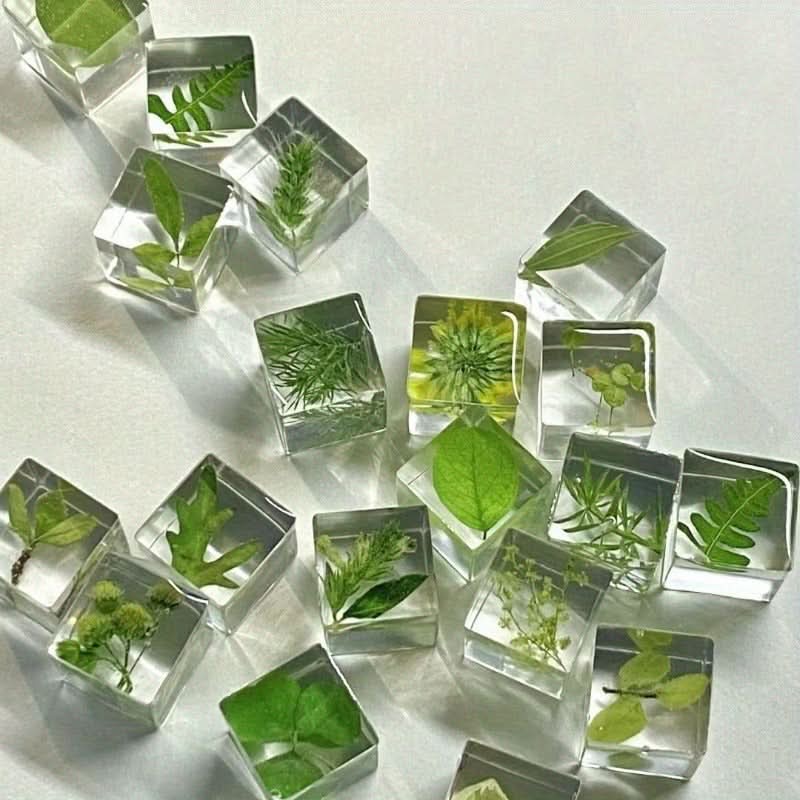 12pcs Resin Encased Dried Flower Blocks – 3D Botanical Specimens