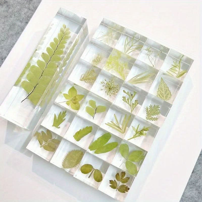 12pcs Resin Encased Dried Flower Blocks – 3D Botanical Specimens