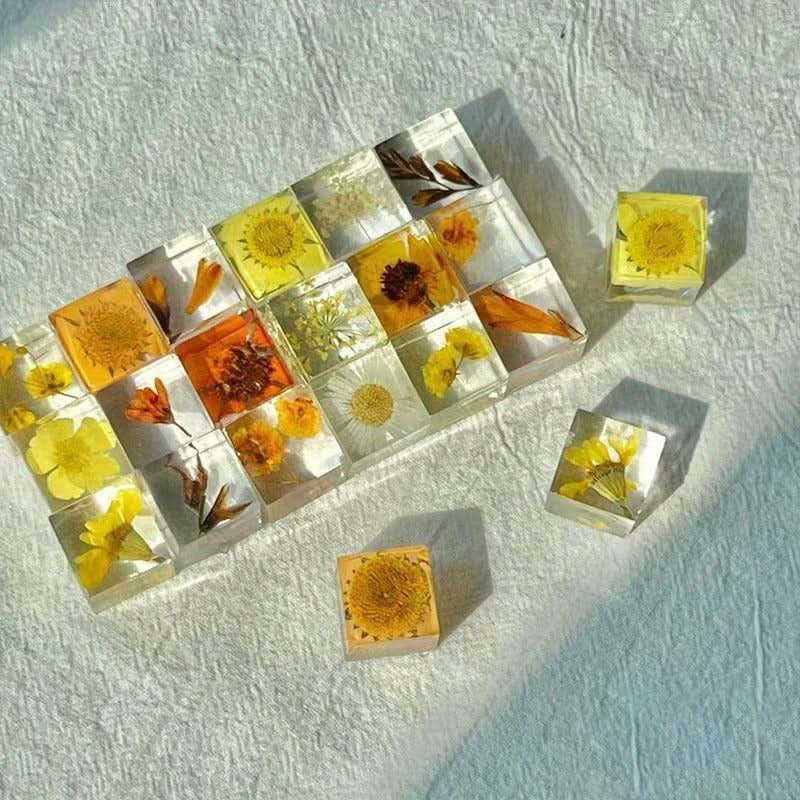 12pcs Resin Encased Dried Flower Blocks – 3D Botanical Specimens