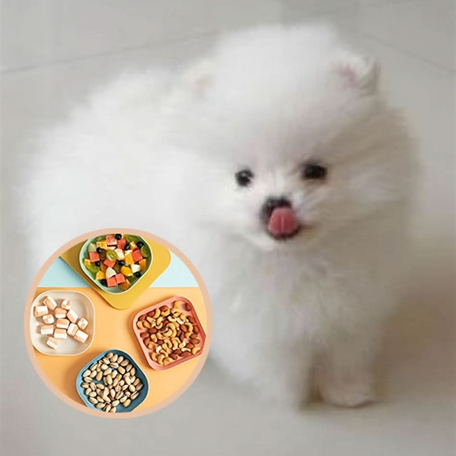 4-Pack Durable Plastic Pet Bowls