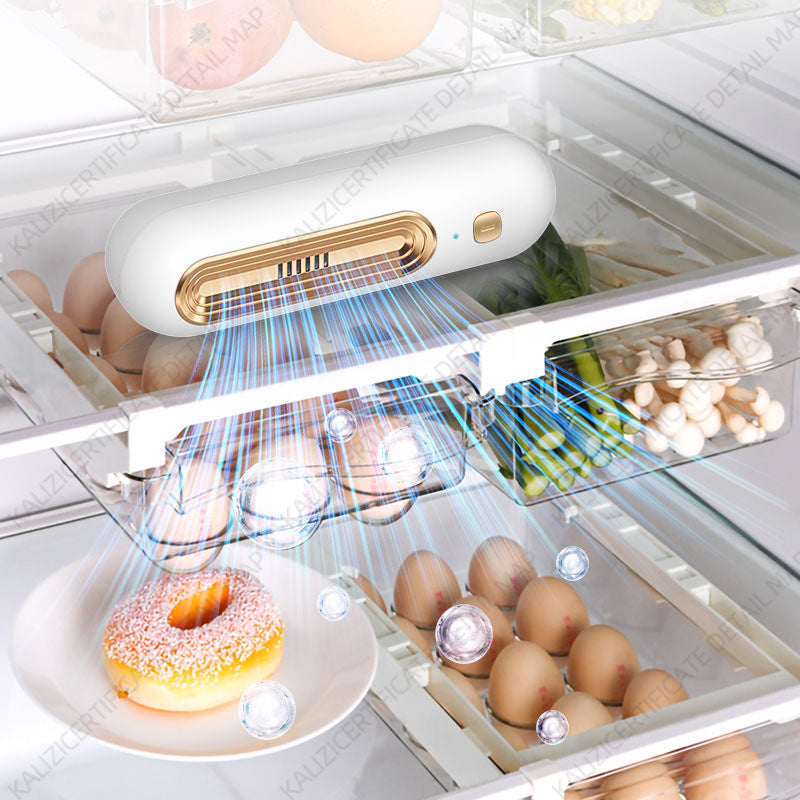 Refrigerator Deodorizer – Ozone Air Purifier for Odor Removal, Food Preservation & Fresh Storage