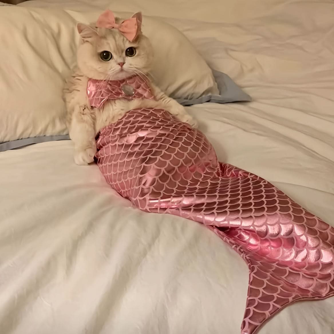 Adorable Cat Mermaid Costume for Small Pets