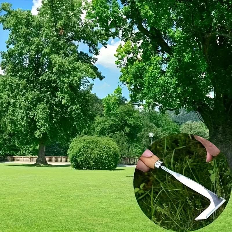 Stainless Steel Crevice Weeding Tool for Easy Lawn Maintenance
