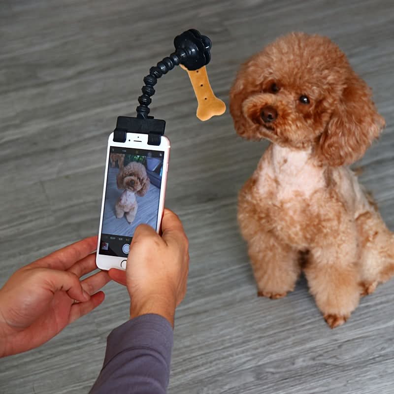 Pet Selfie Stick with Flower Clip