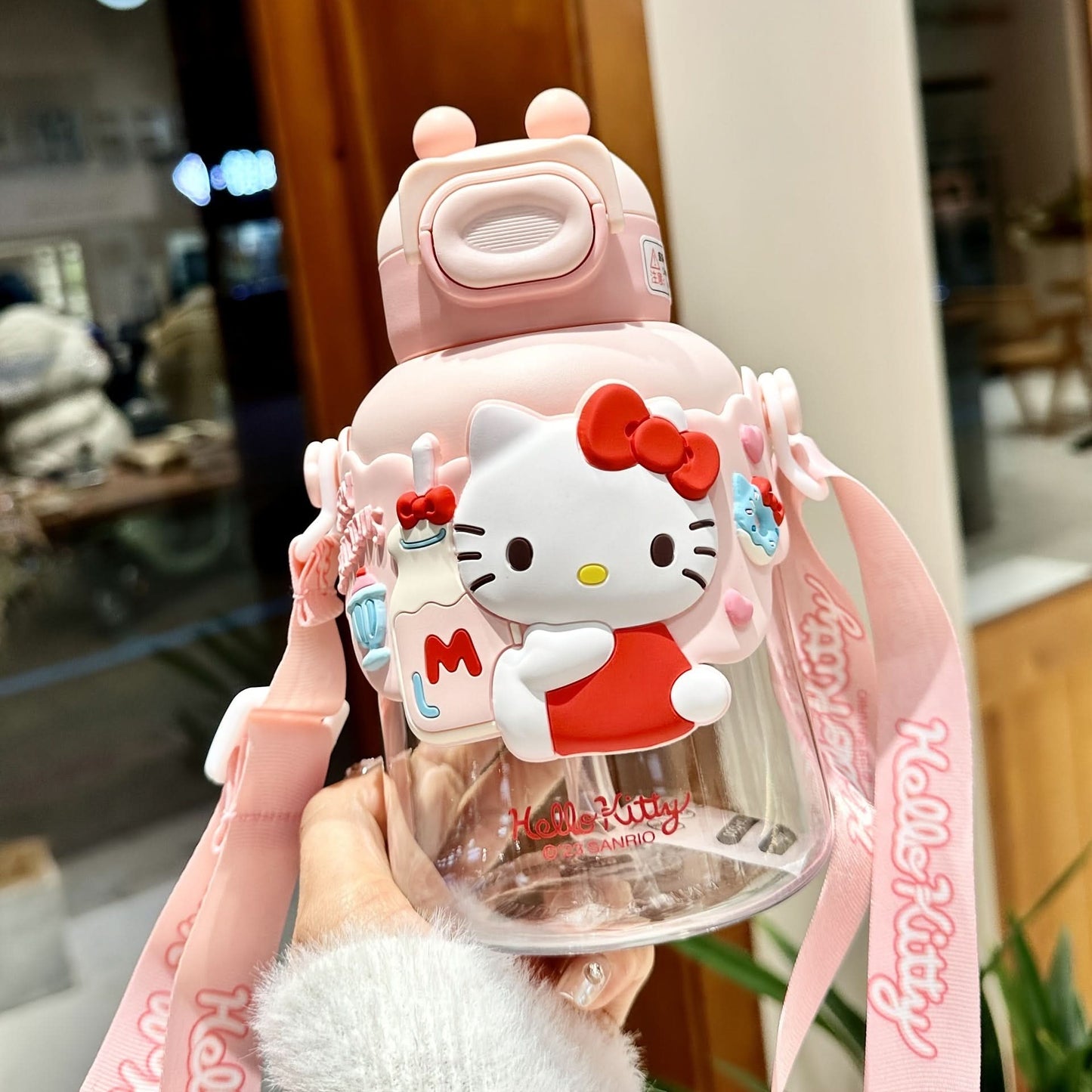 Sanrio Cartoon Character Water Bottle with Straw
