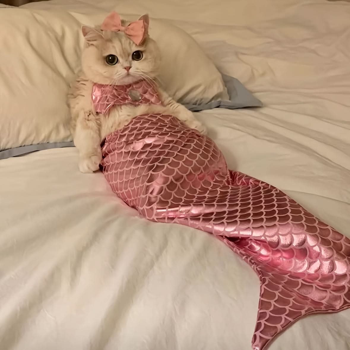Adorable Cat Mermaid Costume for Small Pets