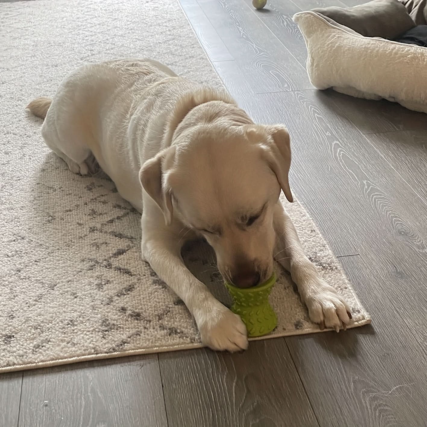 Interactive Dog Puzzle Toy – Treat Dispenser