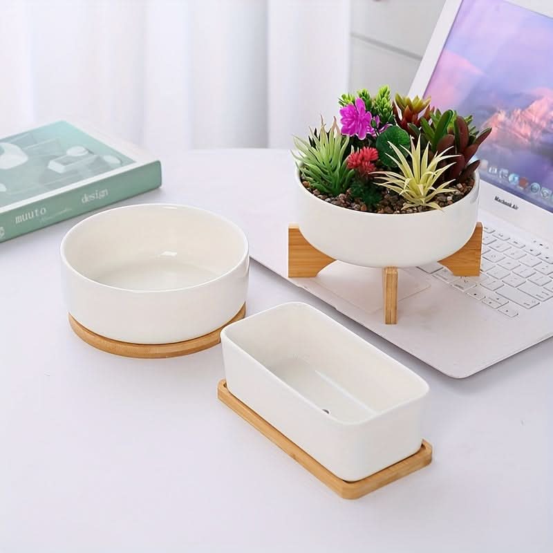 Modern White Ceramic Round Cactus Planter