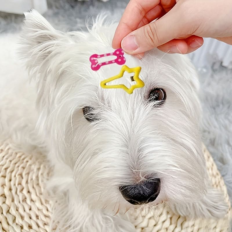 10-Pack Colorful Pet Hair Clips for Grooming