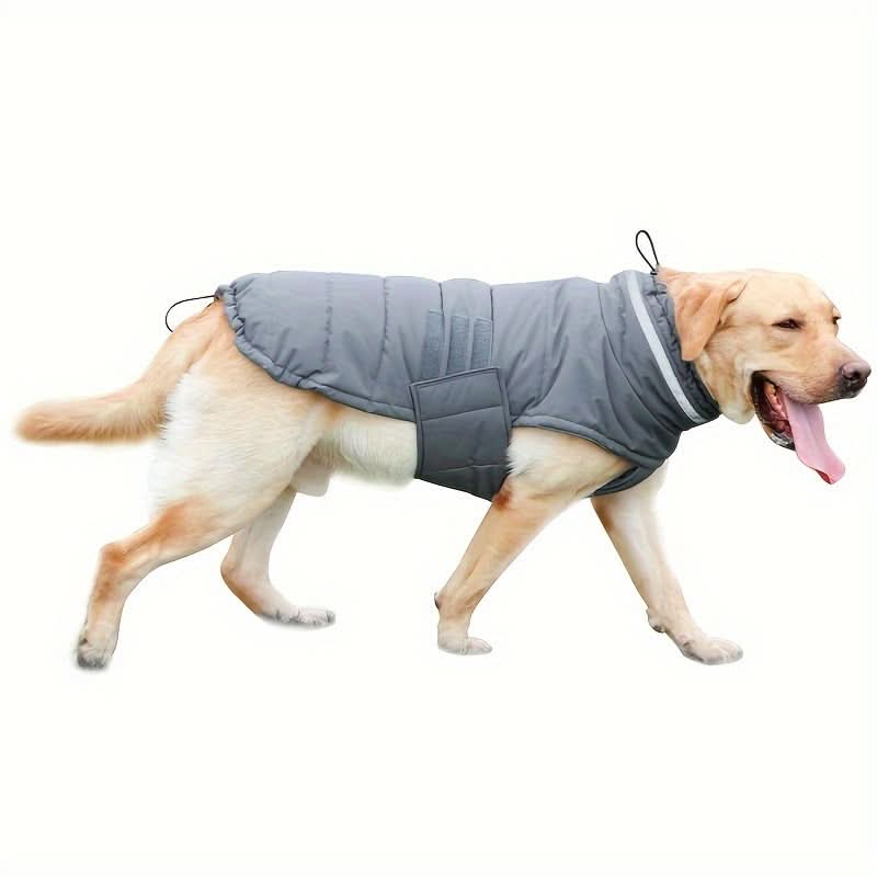 Waterproof Dog Winter Coat with Harness