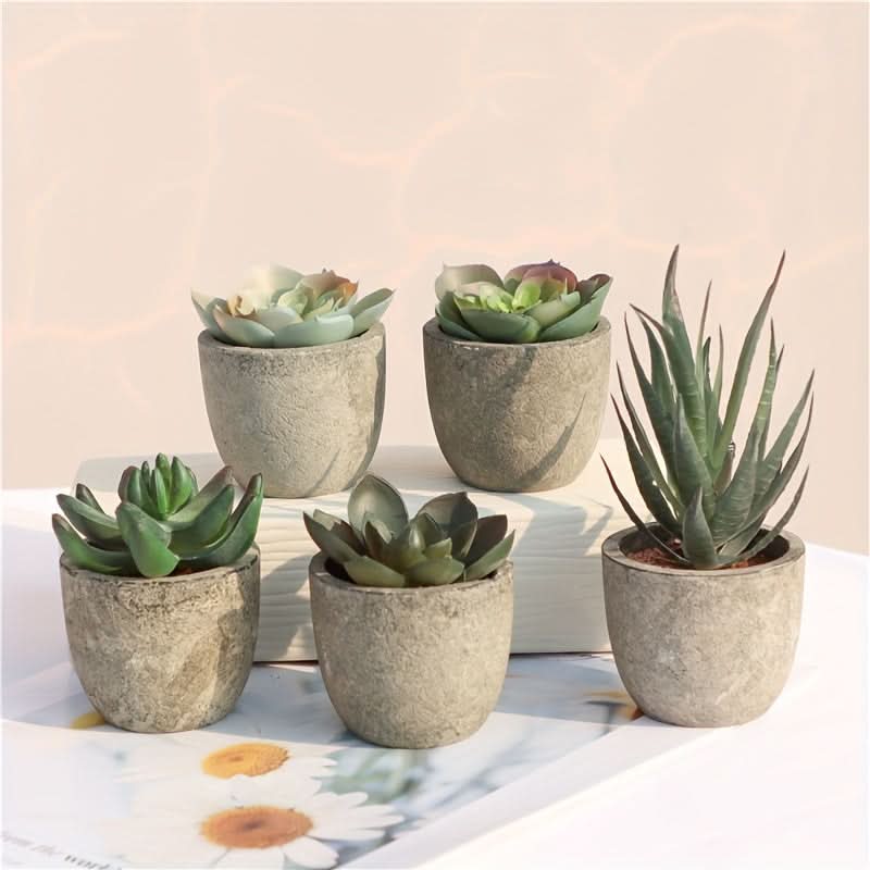 5pcs Mini Artificial Succulent Plants – Realistic Potted Decor