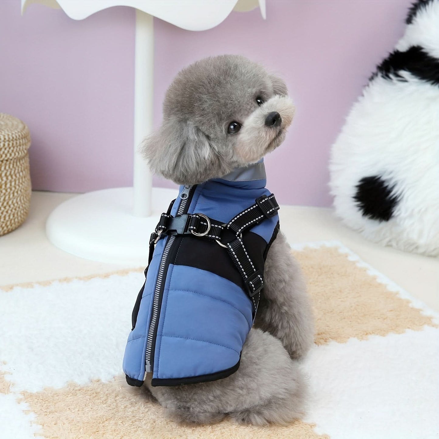 Cozy Small Dog Cold Weather Jacket for Breeds