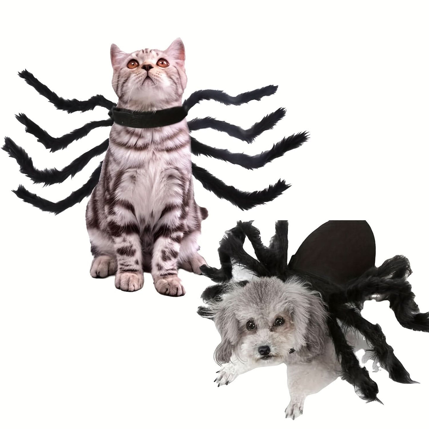 Furry Spider Pet Costume for Small Dogs & Cats
