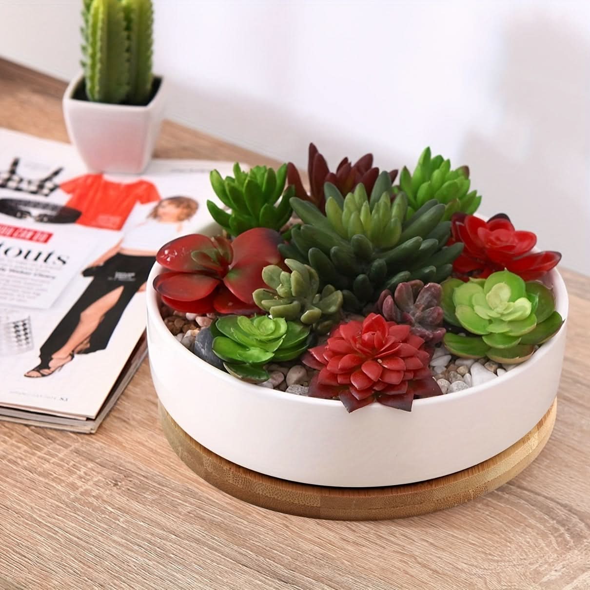Modern White Ceramic Round Cactus Planter