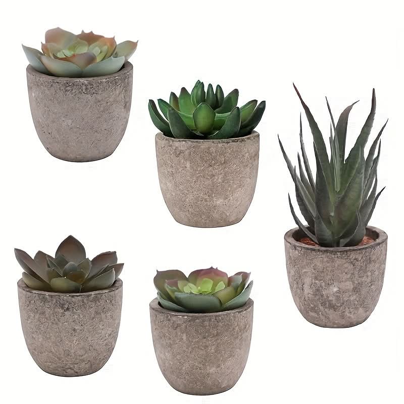 5pcs Mini Artificial Succulent Plants – Realistic Potted Decor