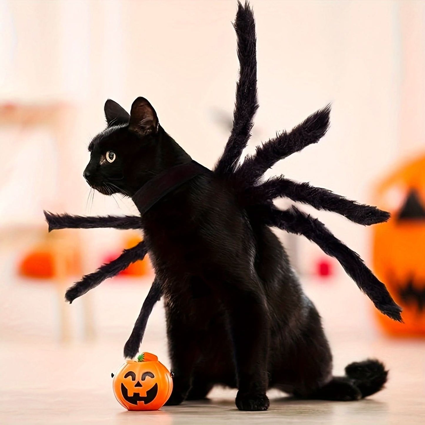 Furry Spider Pet Costume for Small Dogs & Cats