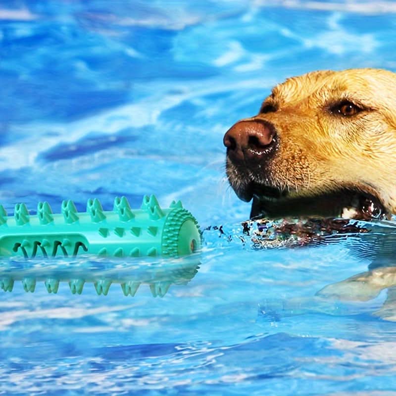 Durable Dog Chew Toothbrush for Cleaning