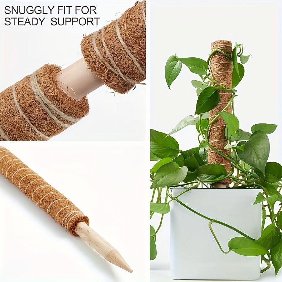 Stackable Wooden Moss Pole for Climbing Plants