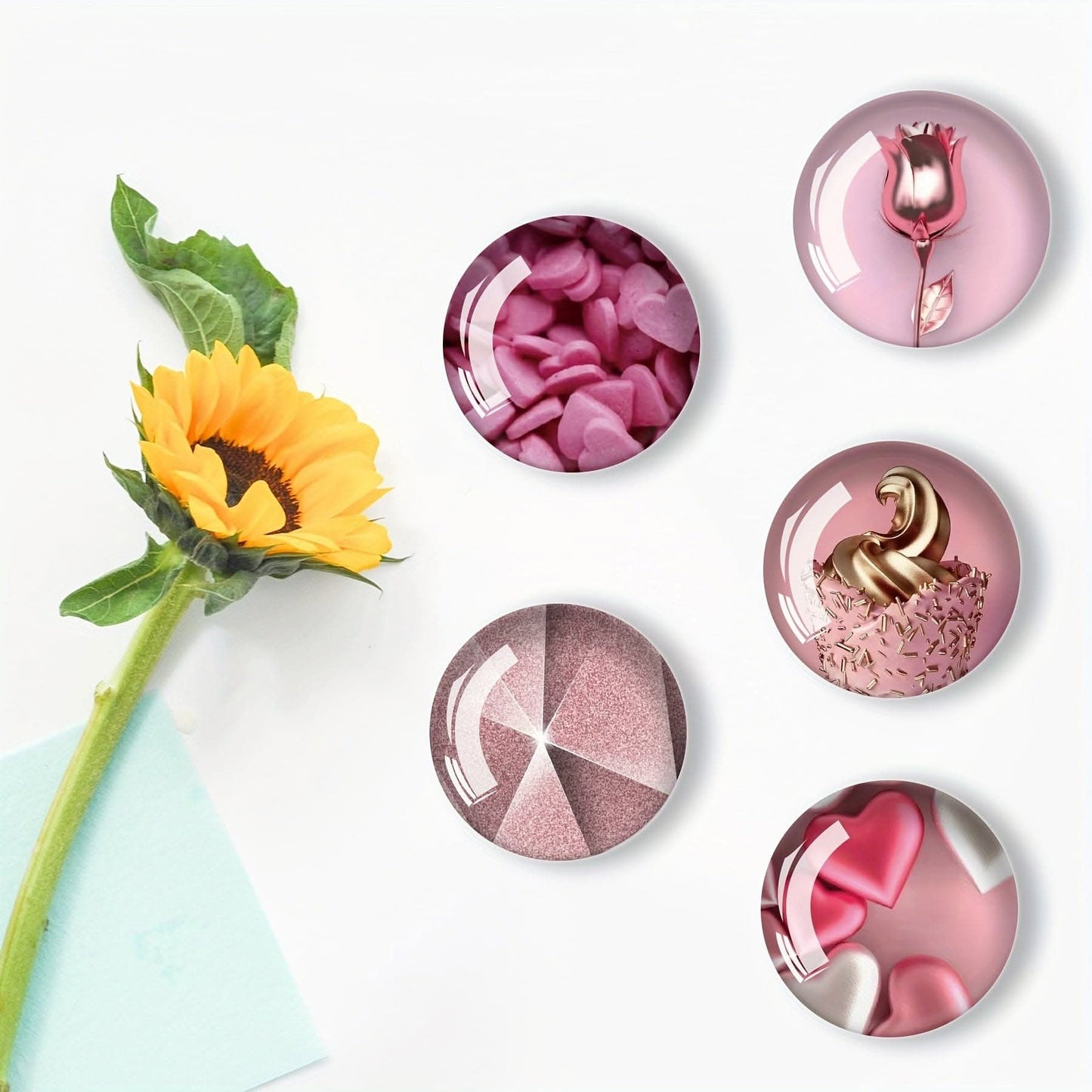 12pcs Cute and Strong Refrigerator Magnets