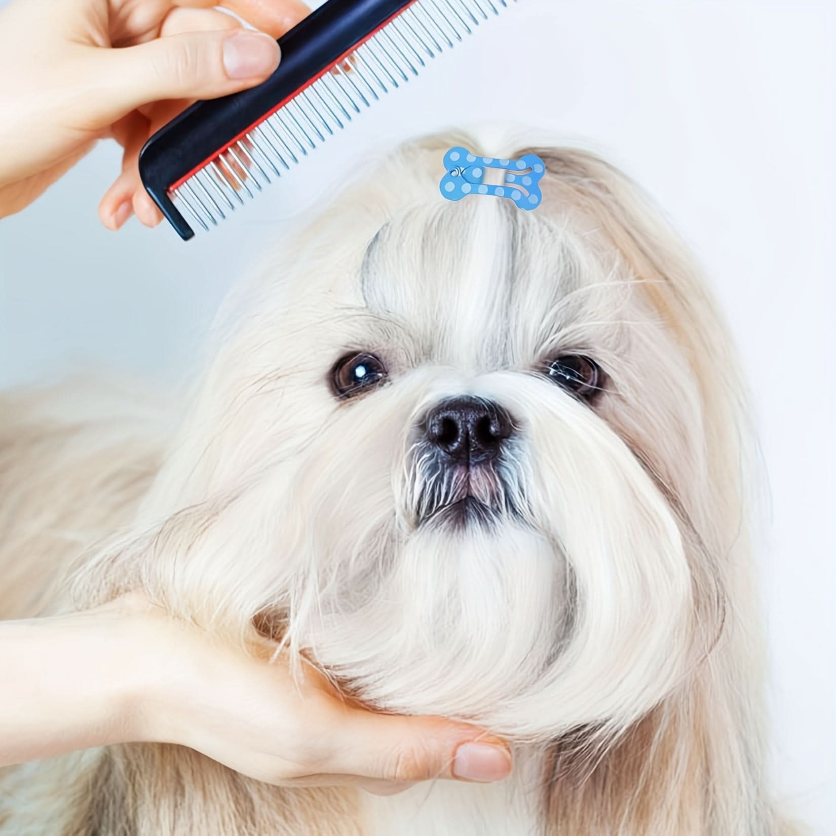 10-Pack Colorful Pet Hair Clips for Grooming