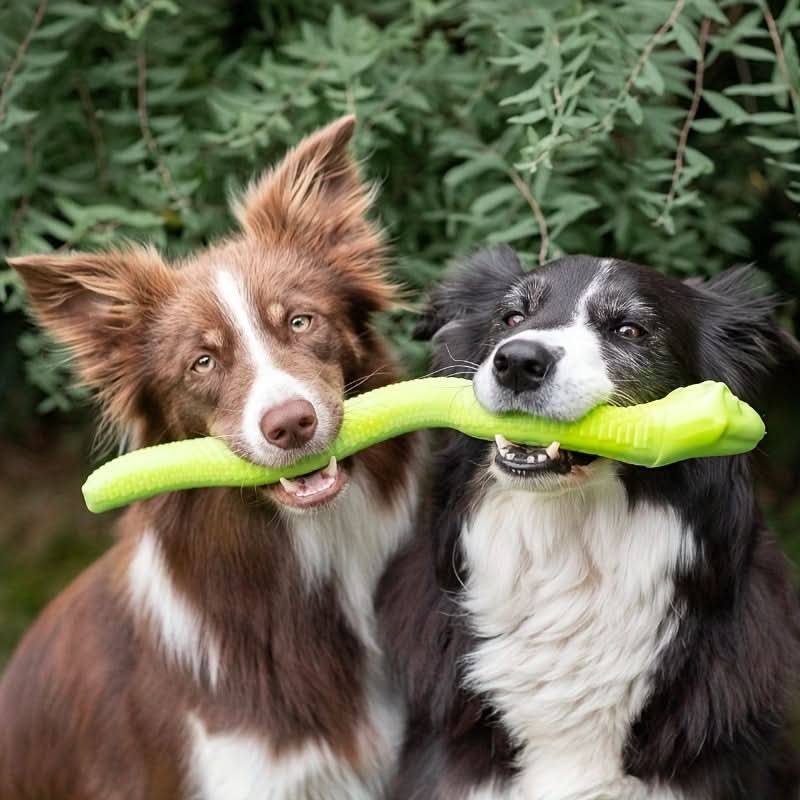 Interactive Snake-Shaped Dog Chew Toy – Dental