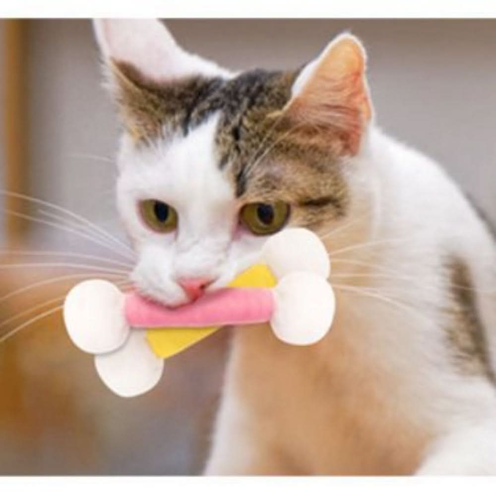 Set of 6 Interactive Toys for Indoor Cats
