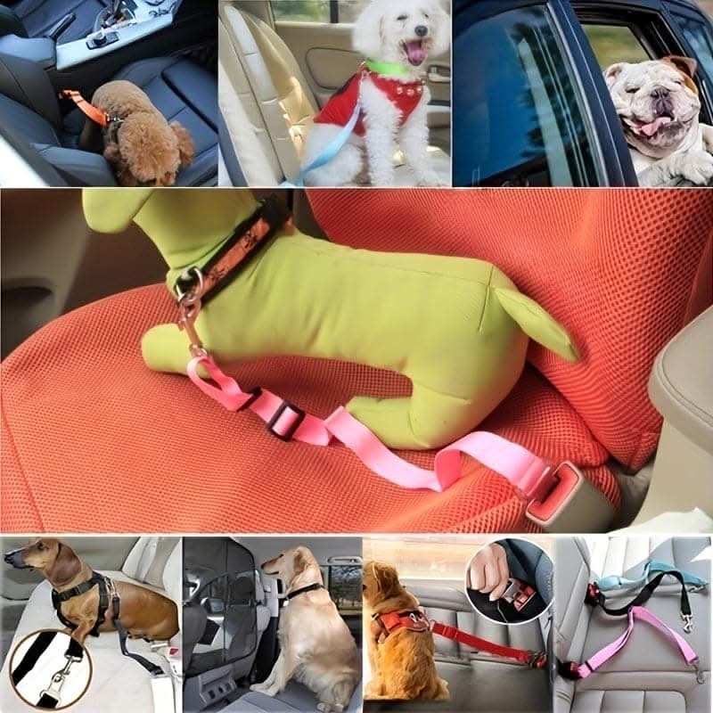 Adjustable Pet Safety Harness for Car Travel