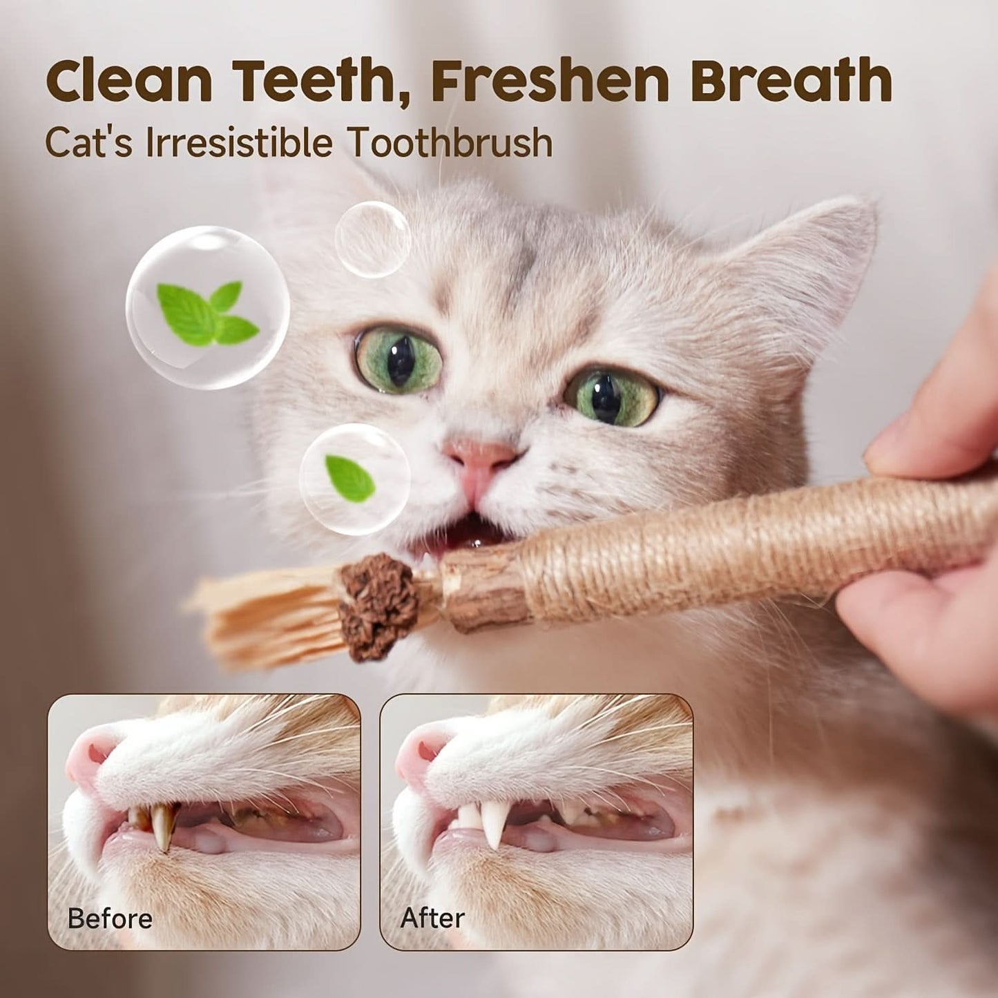 6 Pcs Silvervine Cat Chew Sticks