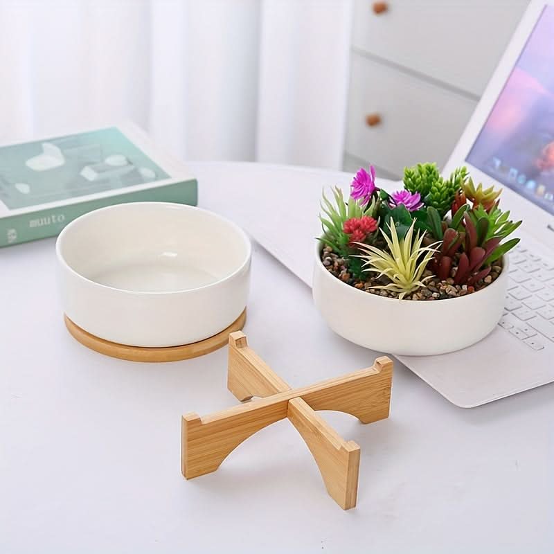 Modern White Ceramic Round Cactus Planter