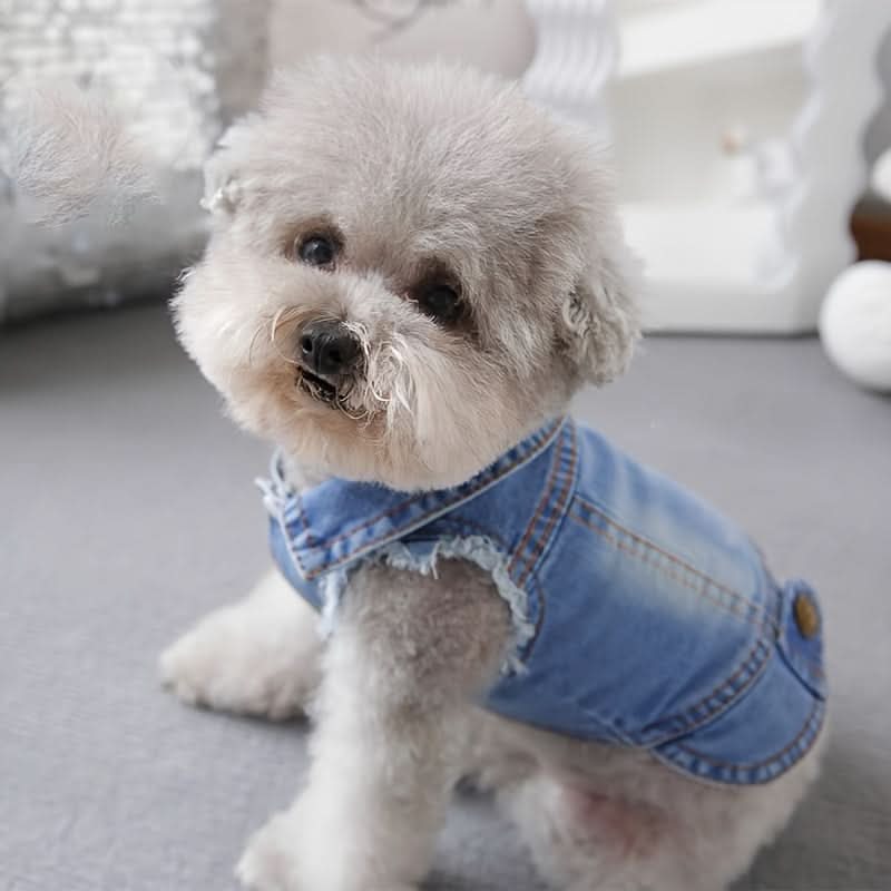 Dog Denim Vest for Small Dogs, Spring & Autumn