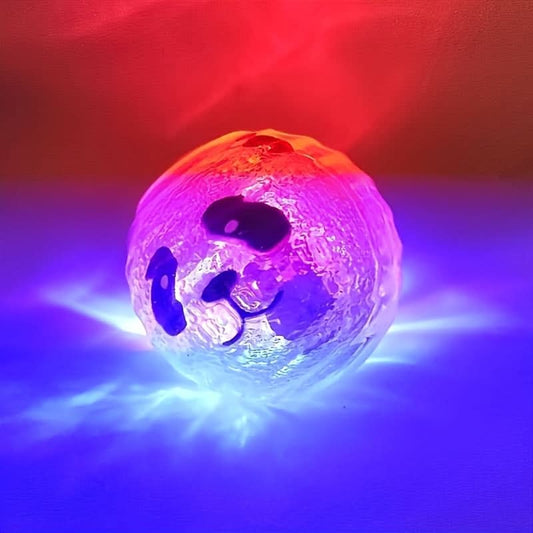 Glow-in-the-Dark Interactive Dog Toy with Sound