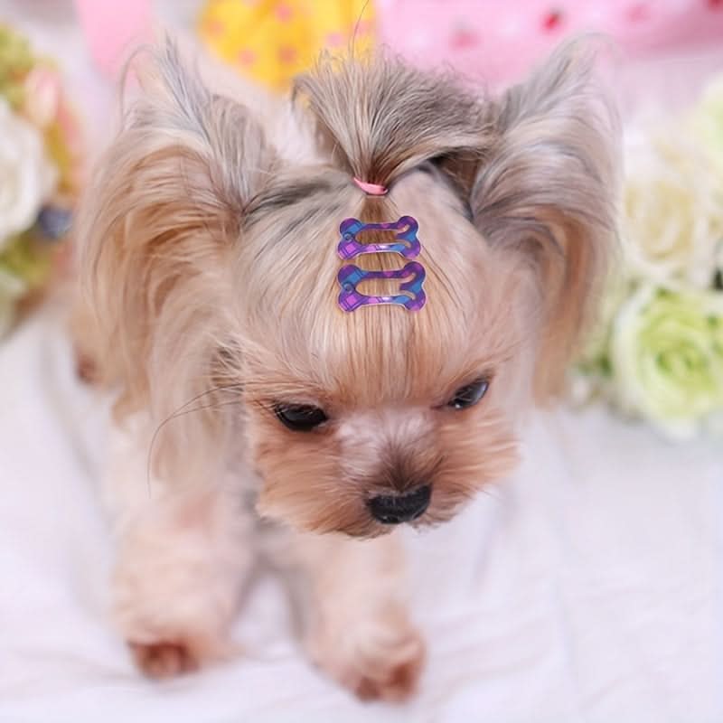 10-Pack Colorful Pet Hair Clips for Grooming