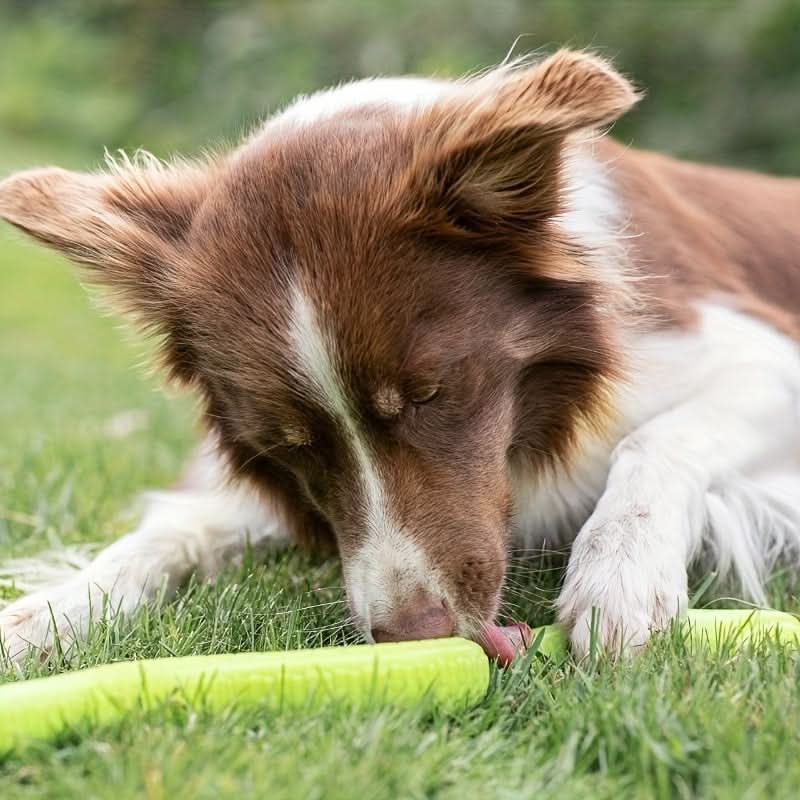 Interactive Snake-Shaped Dog Chew Toy – Dental