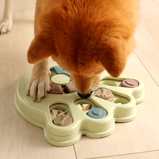 Interactive Dog Puzzle Feeder