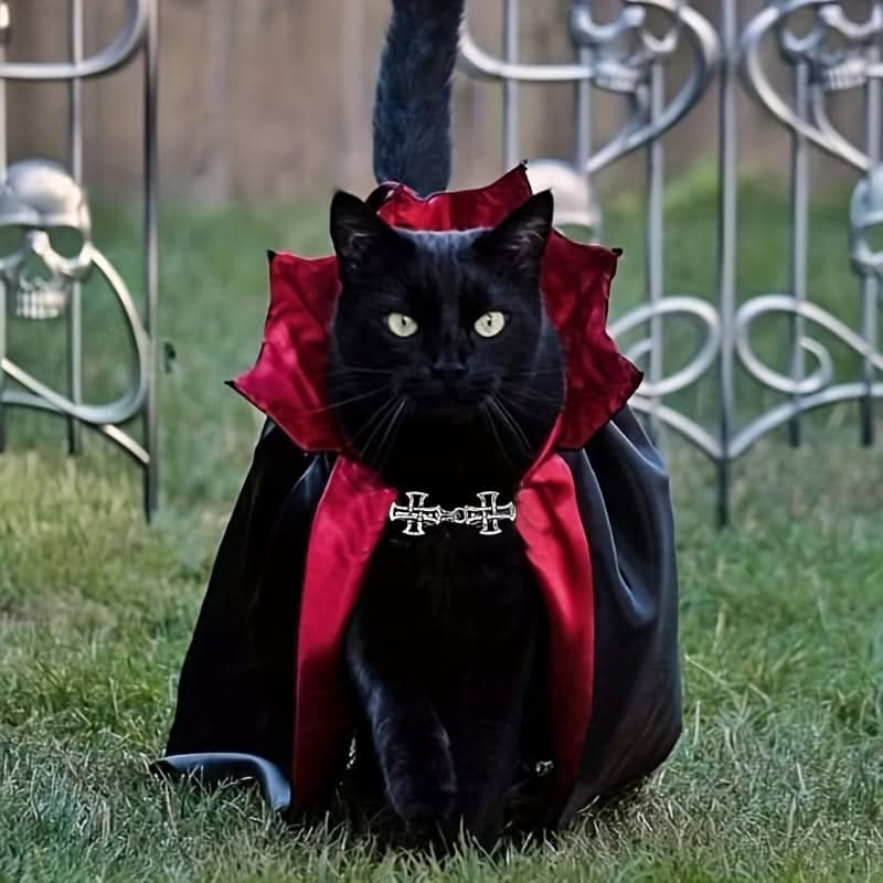 Vampire Pet Cape & Collar Set