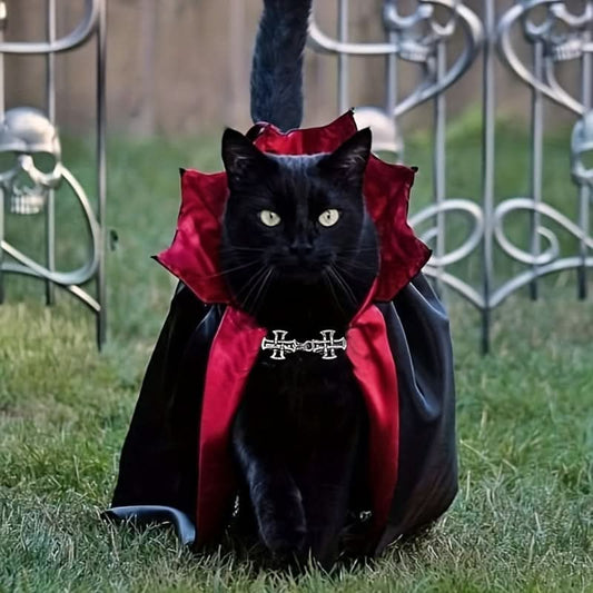 Vampire Pet Cape & Collar Set