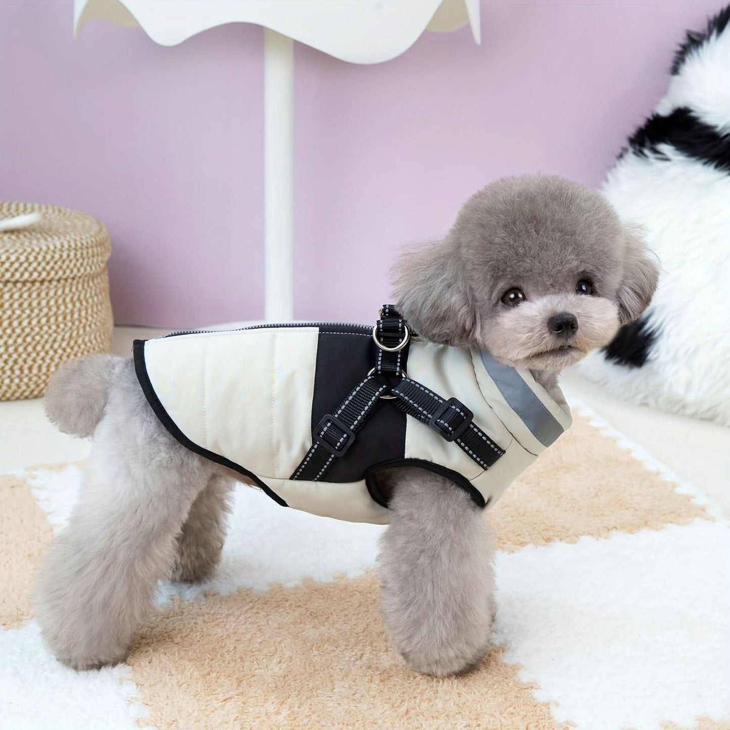Cozy Small Dog Cold Weather Jacket for Breeds