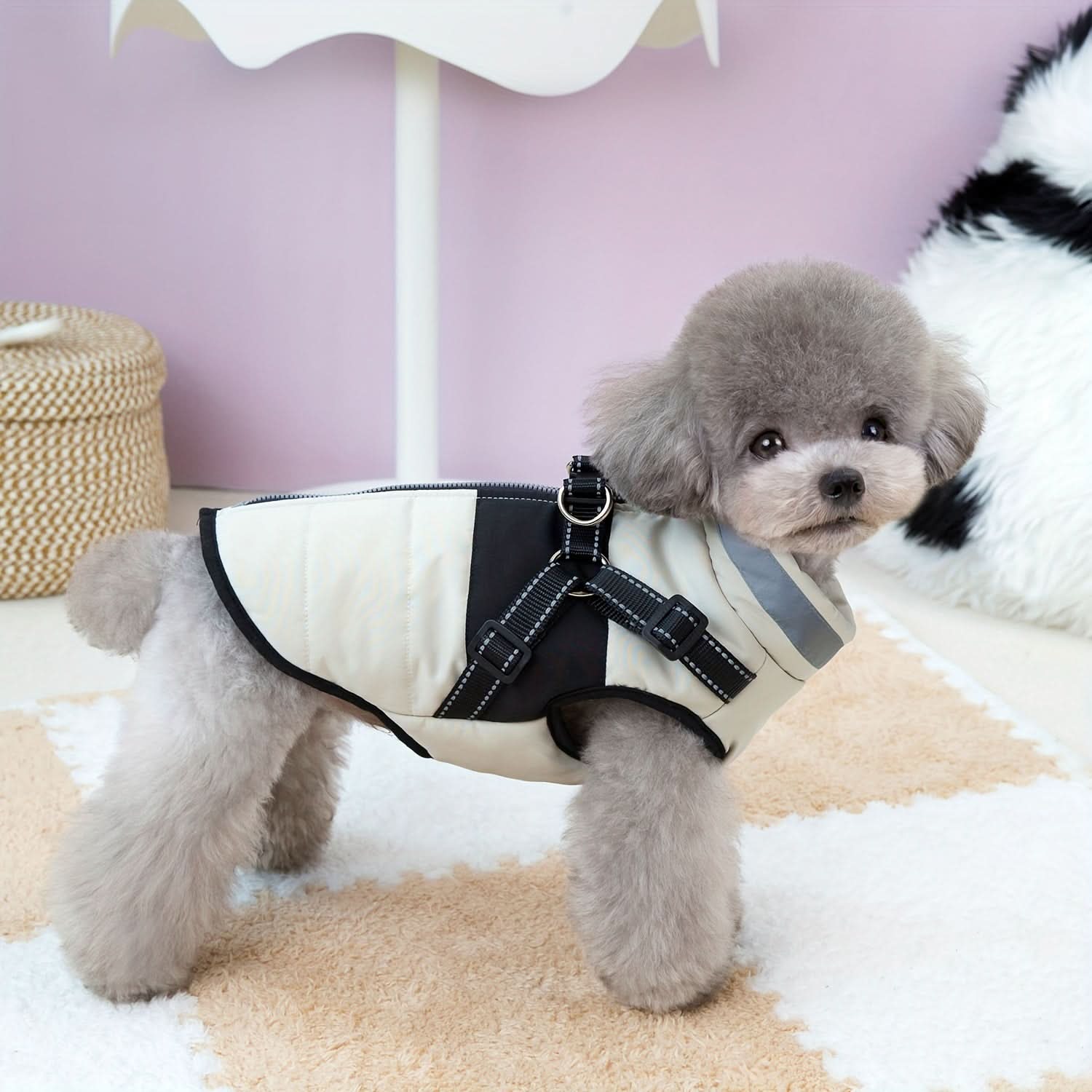 Cozy Small Dog Cold Weather Jacket for Breeds